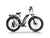 Himiway Cruiser Step-Thru E-Bike
